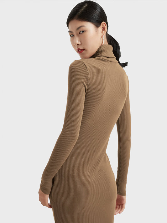 Zoe Knitted Turtleneck Dress